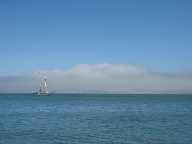 sanfranfog