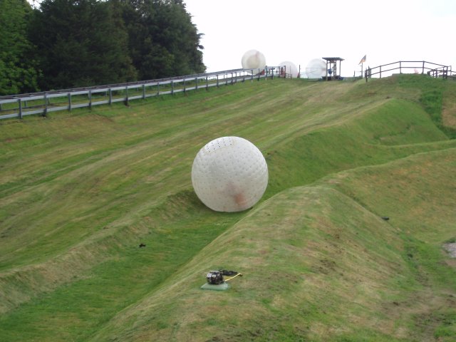 Zorbing (62K)